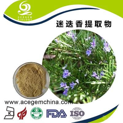專業迷迭香提取物 中國蕪湖艾森格，天然香料的卓越之選