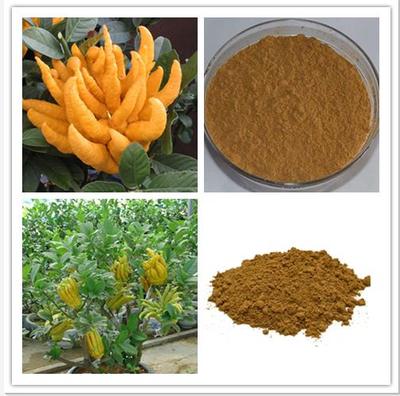 天然香料新篇章 西安蛹蟲草粉與提取物的卓越應(yīng)用